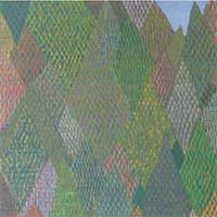 Mountain Fold